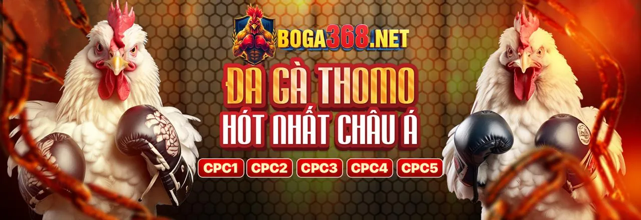 Đấu gà trực tuyến kịch tính tại gg88 casino